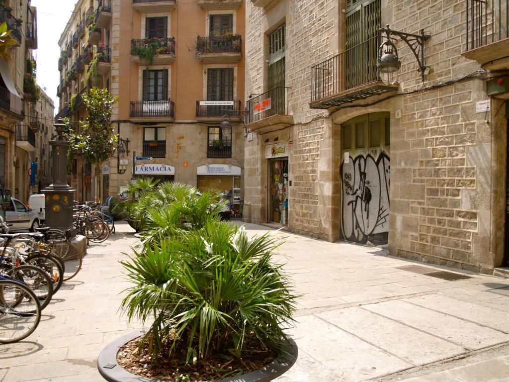 Hostal Nitzs Bcn — Fotos 1
